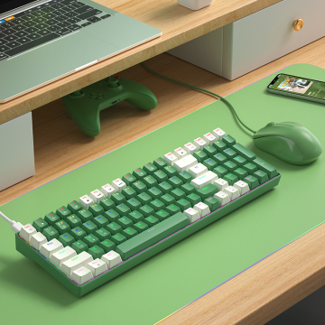 Neuankömmlinge 100 Tasten Ergonomische kabelgebundene Gaming -mechanische Tastatur mit ABS -Tastaturen und braunen roten Schaltern