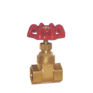 gate valve