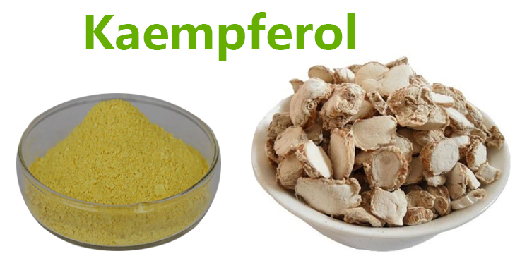 Kaempferol