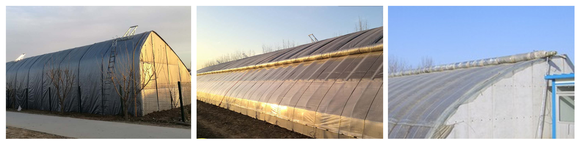 Solar Greenhouse