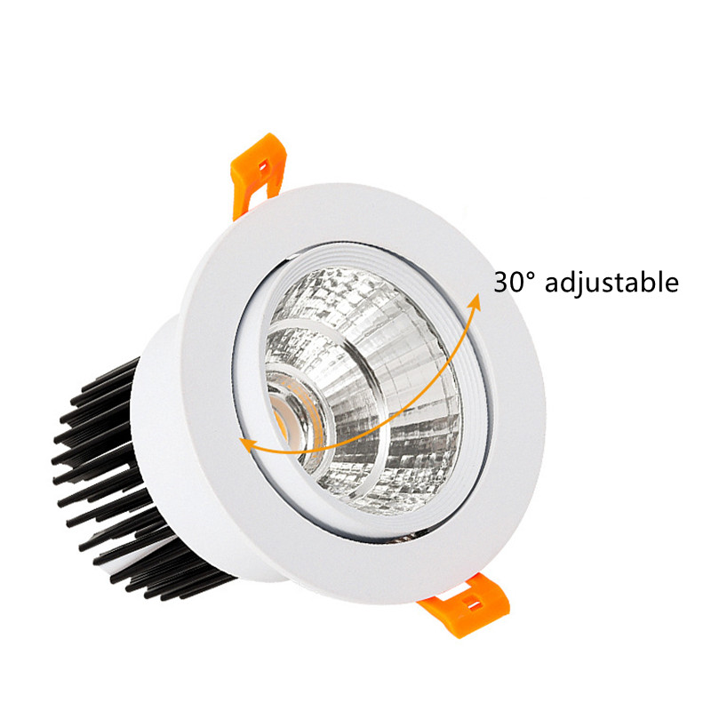 Cob Downlight 1