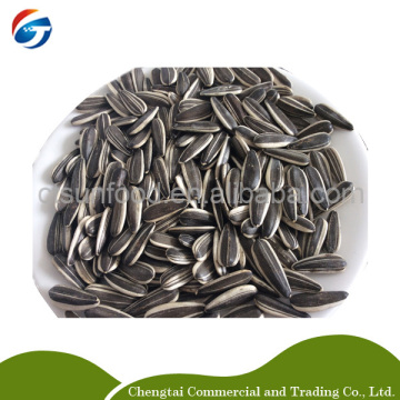 5009 sunflower seeds,sunflower seed market price