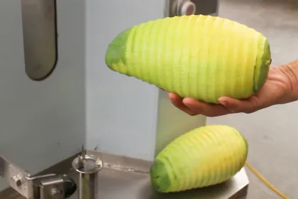 Automatic Tropical Fruit Peeler: Pumpkin, Pineapple, Mango, Jackfruit, Coconut, and Breadfruit