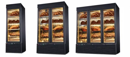 Stainless Steel Beef or Steak Dry Ager Refrigerator