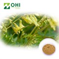 Astragalus Root Extract Polysaccharide