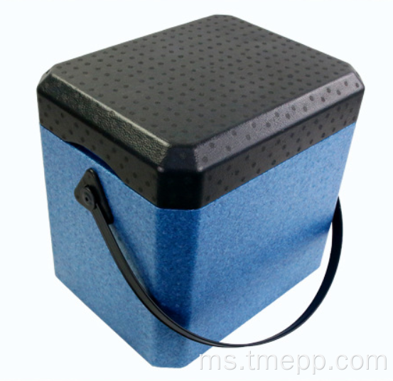 21L EPP Foam Homeuse Cooler Box dengan Pemegang