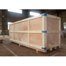 Nako-customize na Paddle Dryer Unit para sa Pagproseso