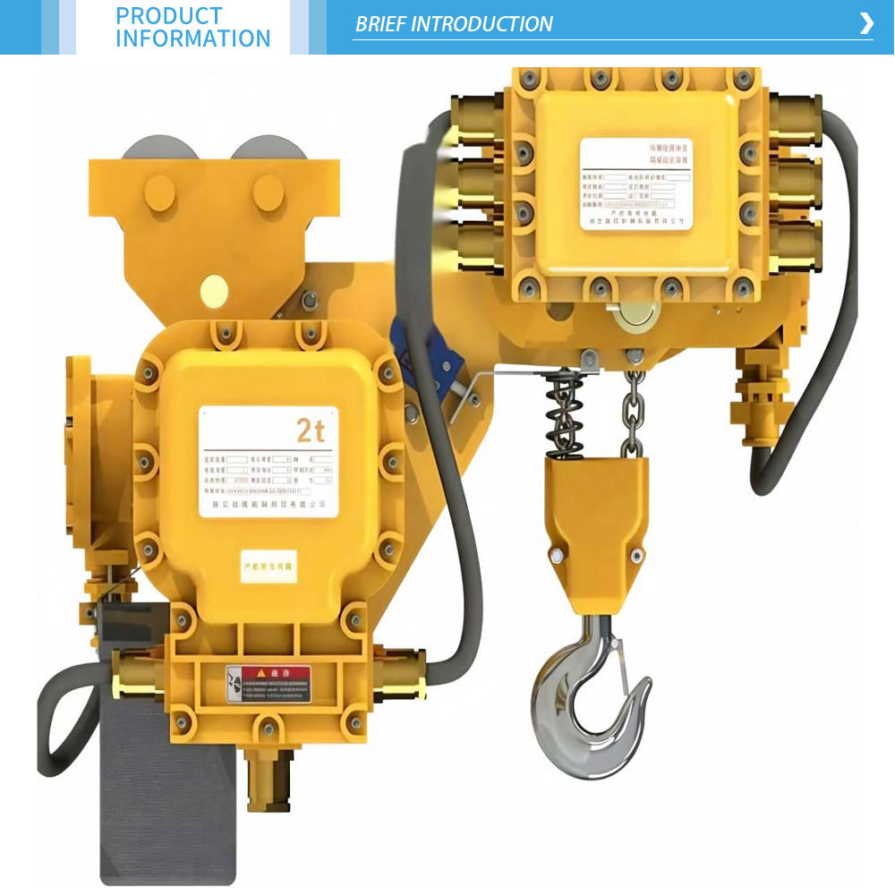 Low Headroom Explosion-Proof Electric Hoist-x