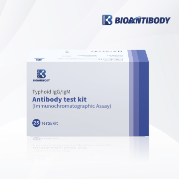 Kit de test d&#39;anticorps Typhoïde IgM / IgM de haute qualité