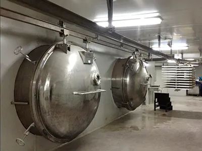 Salmon low temperature freeze dryer