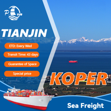 Sea Freight from Tianjin to Koper