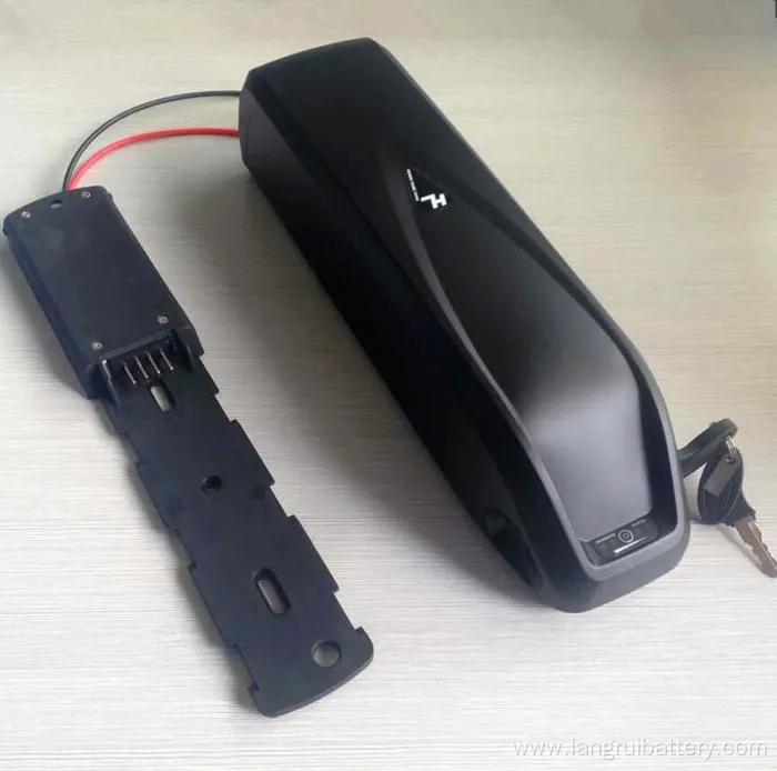 High Quality 48V 1000W Electric Bike Battery