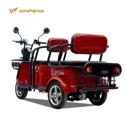 Electric Passenger Tricycle Cargo Trike with 3 Seats