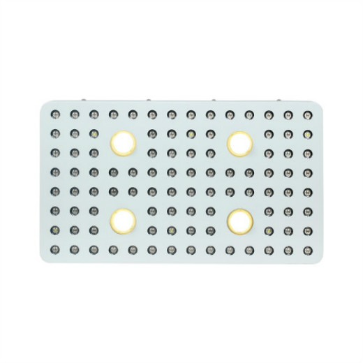 1000W LEDs COB LED Grow Light