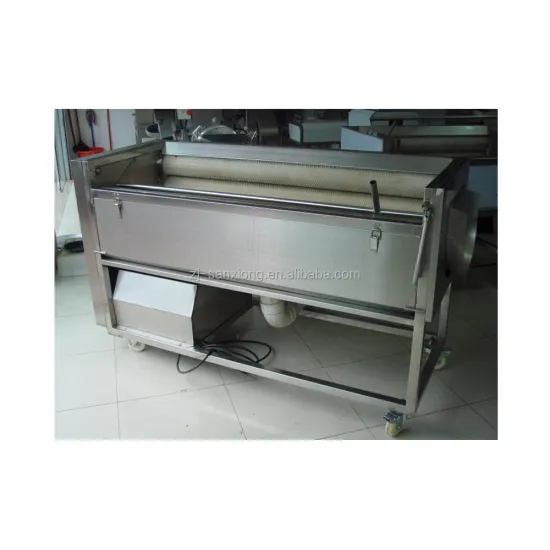 Sanshon HXJ-10G Fruits and Vegetables Washing and Peeling Machine