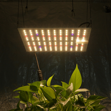 Kingbrite 65W KB132ボードGrogh Light -UV/IR LEDを備えたフルスペクトル