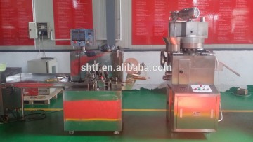 ZP-17 / ZP-19B Soup cube Tablet Press machine