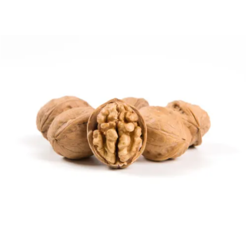 Wholesale Large Low Price Raw Walnuts and Organic Walnut Kernels from Xinjiang