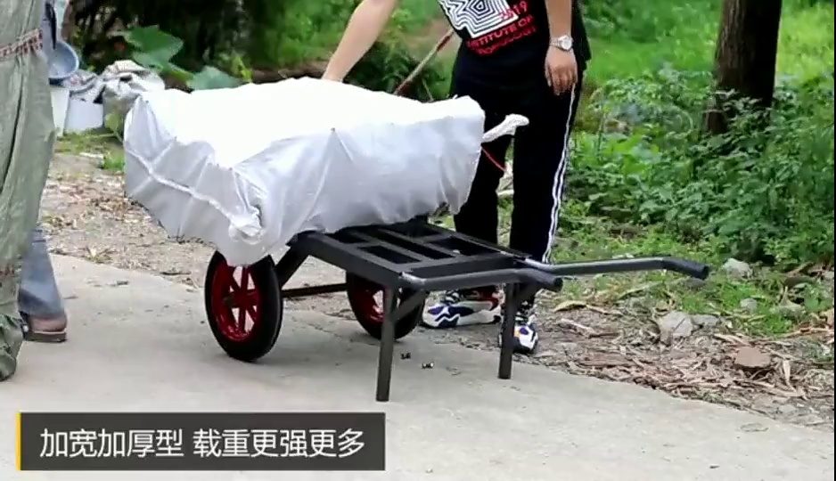 Heavy duty trolley thickened tiger car two-wheeled small cart pull truck trailer hand truck king warehouse van