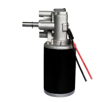 12V Gear Motor | 300 rpm Motor or 5rpm Motor