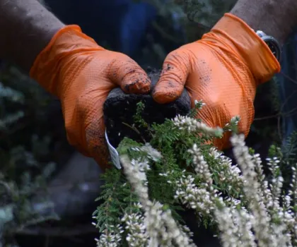 Nitrile Gloves Diamond Textured Nitrile Nitrile Gloves Black