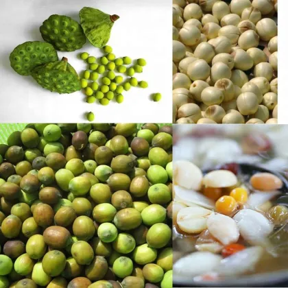 Lotus Seeds Sheller Machine for Sale in Vietnam