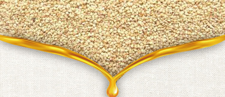 pressing sesame oil