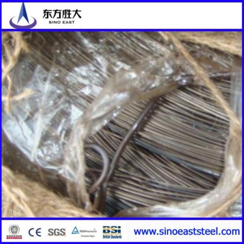 Hot Dipped Galvanized Steel Wire