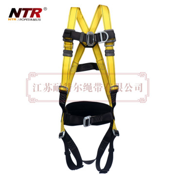 NTR BEESAFE 10P2F two d-rings safety harness with pass thru connections