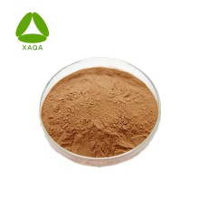 Dioscorea Nipponica Extract Powder Diosgenin 98%Price
