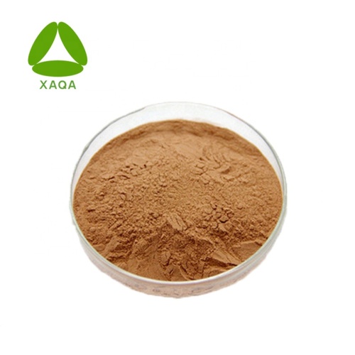 Dioscorea Nipponica Extract Powder Diosgenin 98% Preço
