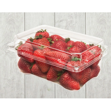 Kotak kemasan clamshell strawberry berventilasi