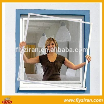 Removable anti-theft window screen