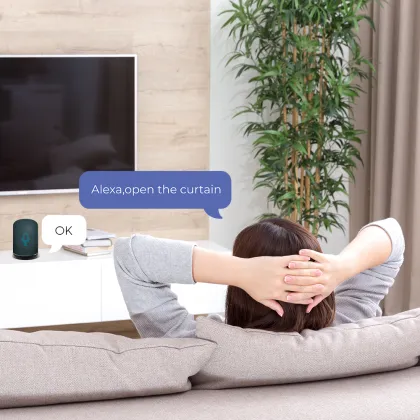 Smart Home Curtain Motor Systems: Remote, Phone Control & Pricing