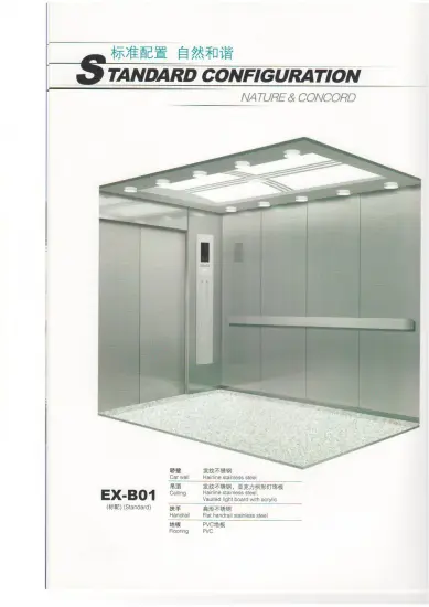 Hospital Bed Elevator