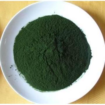 Chlorella Protein Powder 90% Sports Nutrition