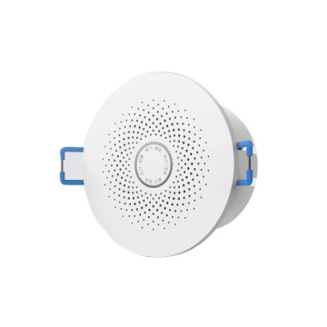 Jualan Langsung Kilang: Sensor Kebocoran Gas Siling Zigbee &amp; Switch Lampu Pintar - Saluran 4 &amp; 10, Putih, 220V, oleh Zhejiang