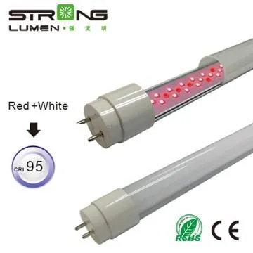 pink led tube for meat and fruit
