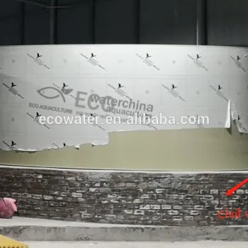 Large PP Plastic Fish Tank System for Farm Recirculating Aquaculture: Supplier and Details