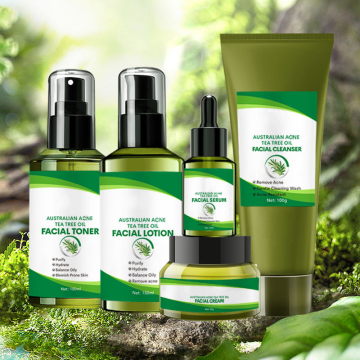 Wholesale 5pcs Natural Organic Anti-Acne Tea Tree Oil Skin Care Set