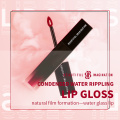 Matte Samt Lippenstift Lipgloss wasserdicht lang anhaltende Lippen -Make -up Silky Textur reichhaltig Farbe ohne Verblassen