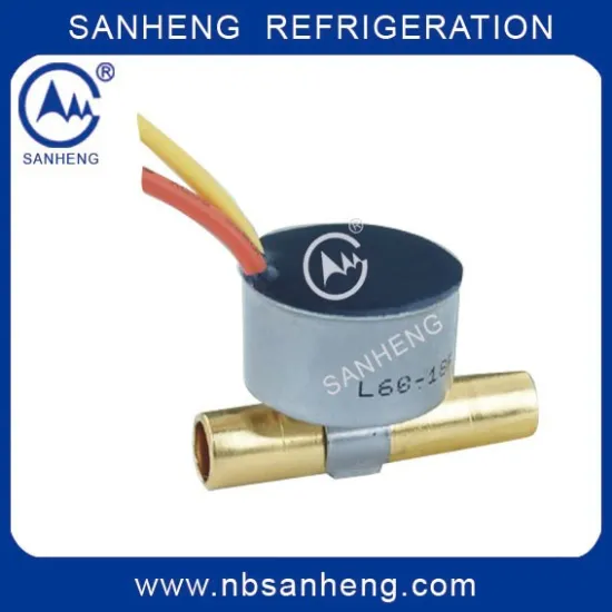 High Quality Electric Thermostat(1003)