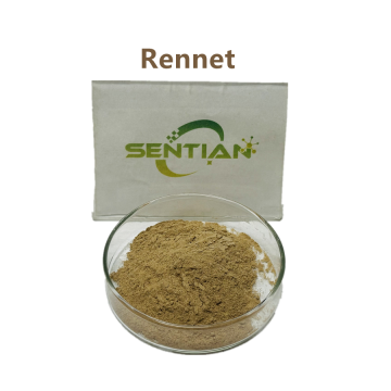 Rennet Enzyme for Cheese and Dairy Processing