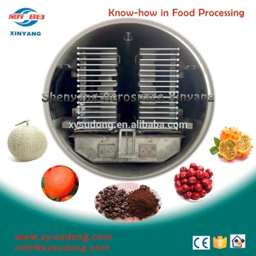 fruit vacuum freeze dryer