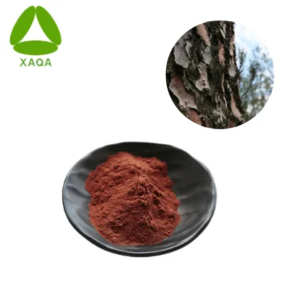Pycnogenol 98% French Coastal Pine Bark Extract Powder