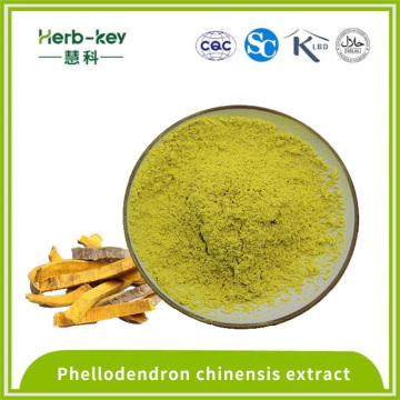 Экстракт Phellodendron chinensis 97% берберин