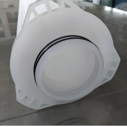 Pentair Aqualine large flow water filter ALPF-60006