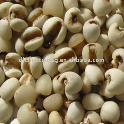 Organic pearl barley