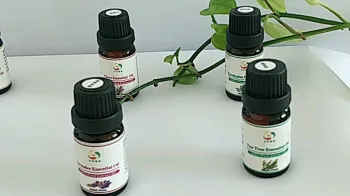 pure perfume australian tea tree oil for antiseptic, antiviral, antibacterial, fungicide, stimulant, insect bites