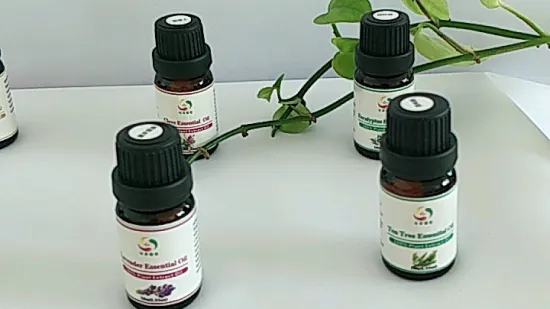 pure perfume australian tea tree oil for antiseptic, antiviral, antibacterial, fungicide, stimulant, insect bites